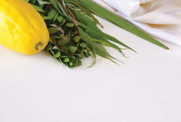 Løvhyttefesten er en mulighed for at lære at stole på Gud i stedet for at støtte sig til sin egen styrke De fire arter: Lulav (palmegren), Hadas (myrte), Arava (pilegren) og Etrog (citrusfrugt)